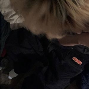 Meet your Posher, Ariana